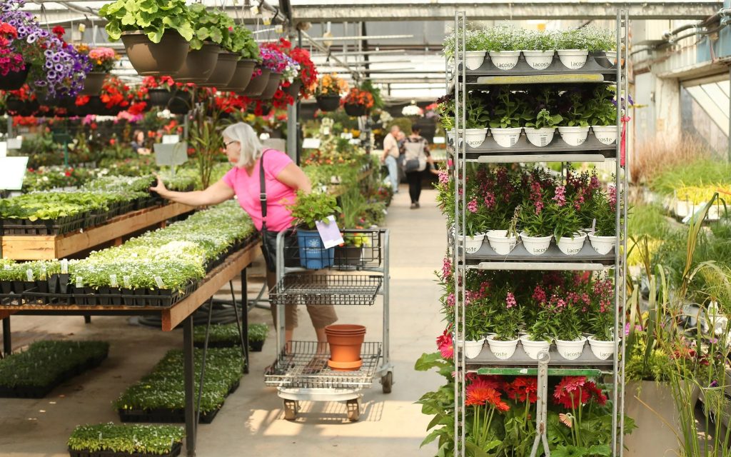 Buying Garden Centre