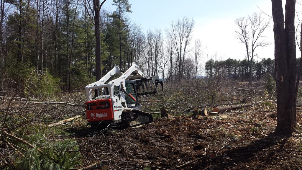 Land Clearing Service