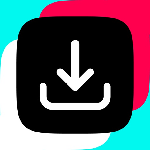 TikTok Downloader